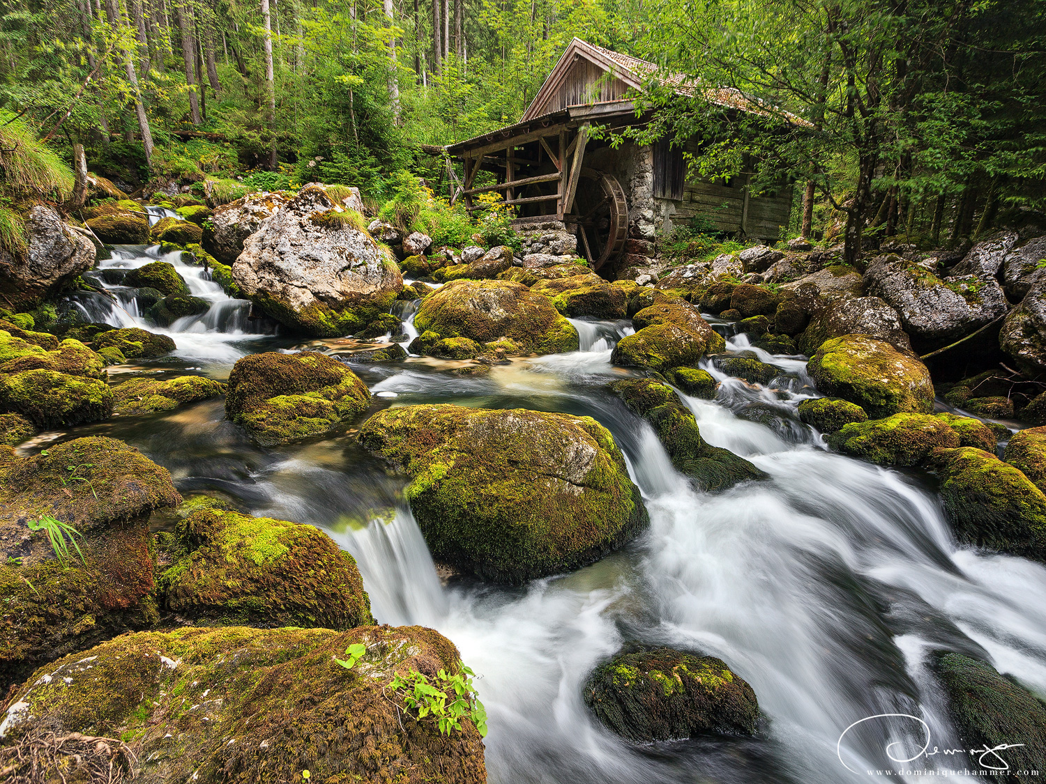 Eine Wasserkaskade beim Gollinger Wasserfall von Fotograf Dominique Hammer