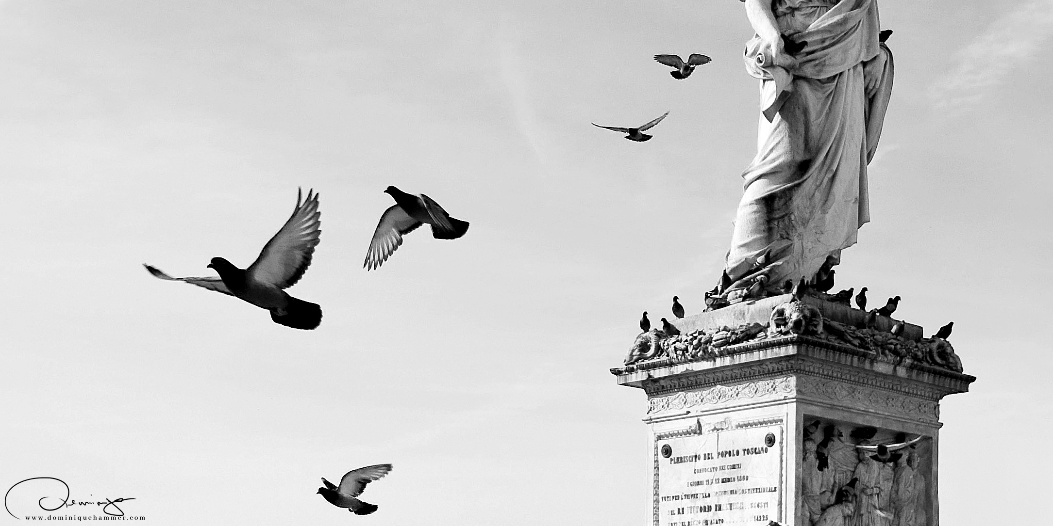 Tauben auf einer Statue von Livorno, von Fotograf Dominique Hammer