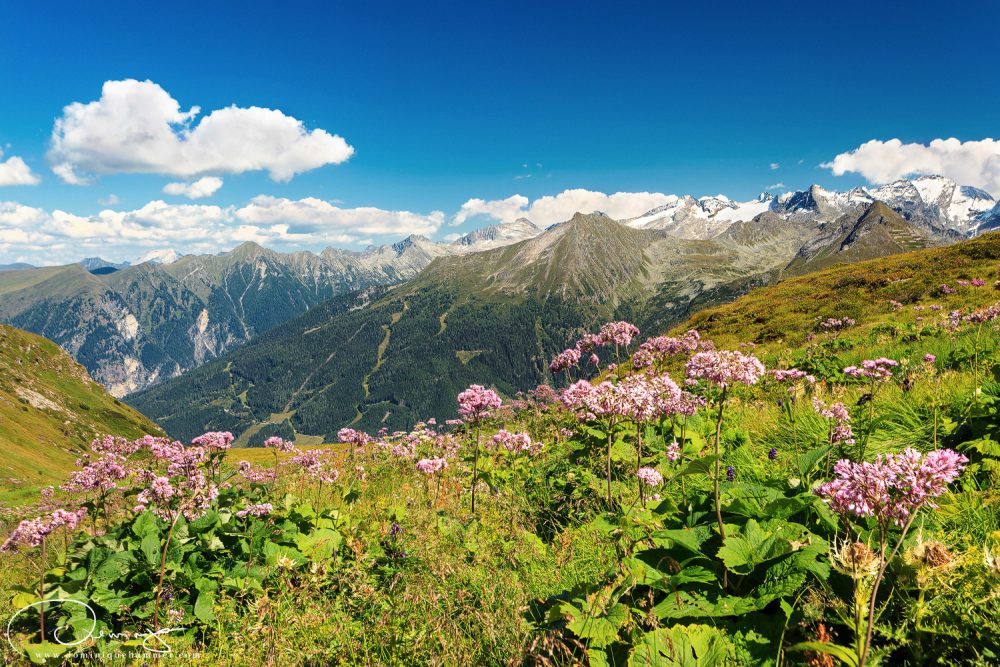 Bad Gastein, 2013