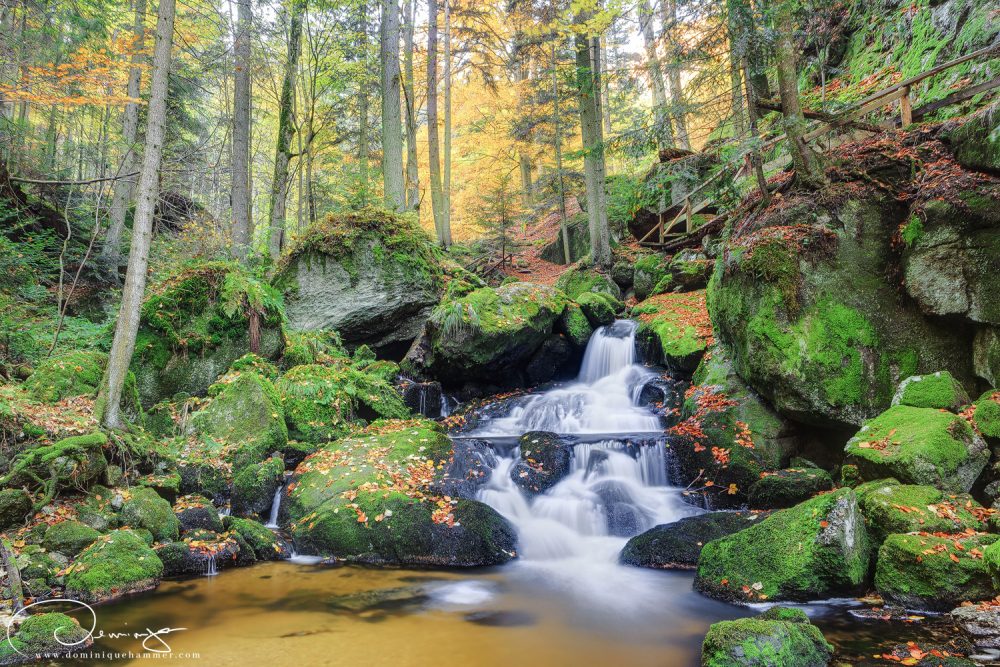 Ysperklamm, 2016