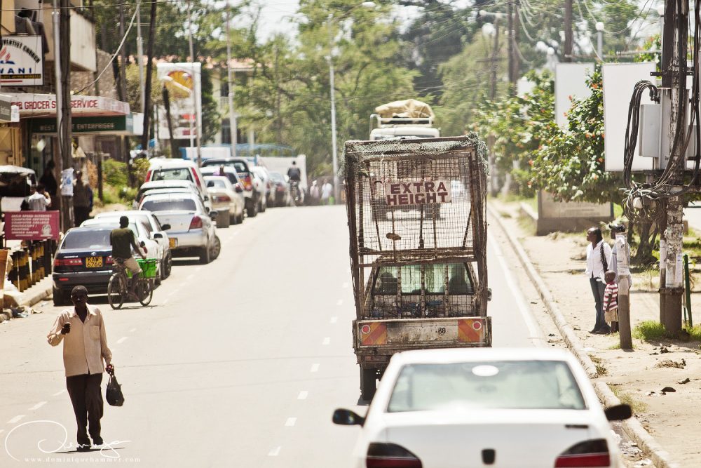 Kenya, 2010